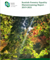 Equality Mainstreaming Reporting 2019-2021